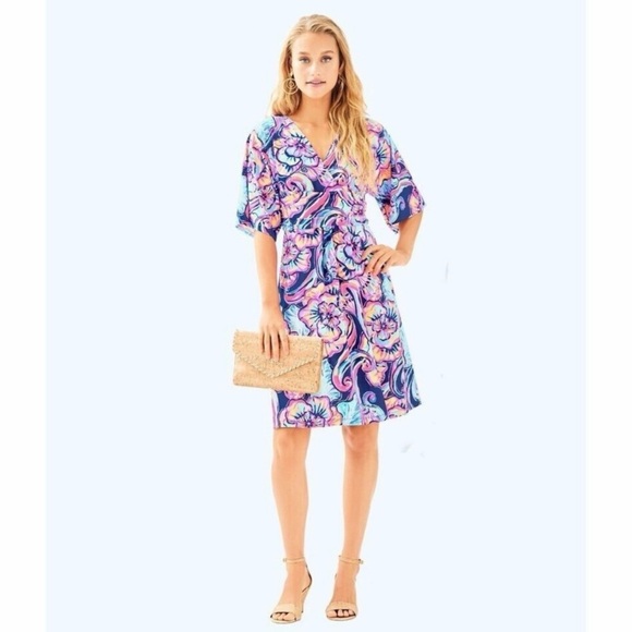 Lilly Pulitzer Parigi dress in Nauti Navy Boho Bateau print, size Large - Picture 11 of 11